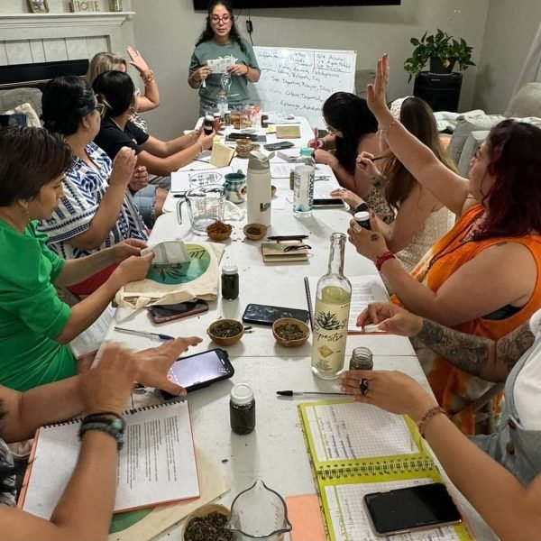 Taller de plantas y oleatos