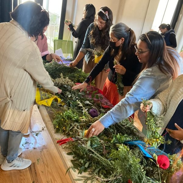 Taller con plantas medicinales
