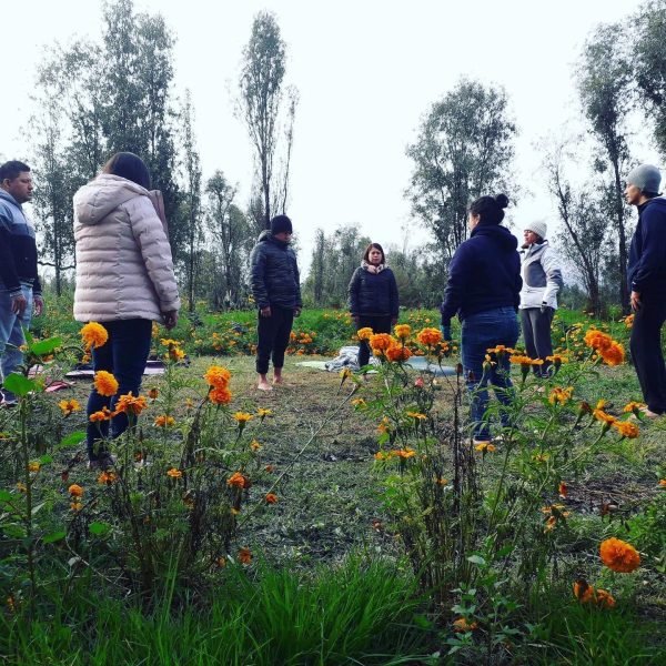 Taller de herbolaria en Día de muertos con meditación al amanecer