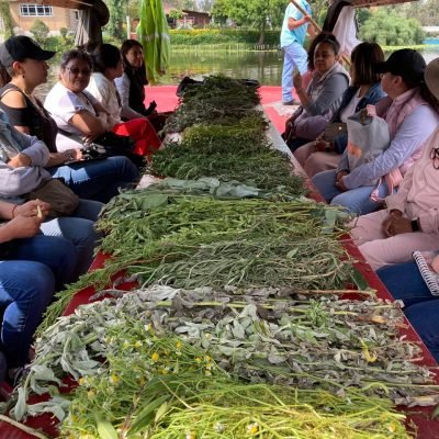 Taller flotante Xochimilco